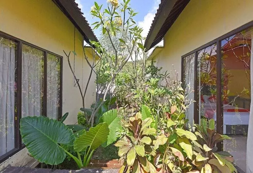 Hotelli Oyo 91191 Lovina Dolphin Lodge