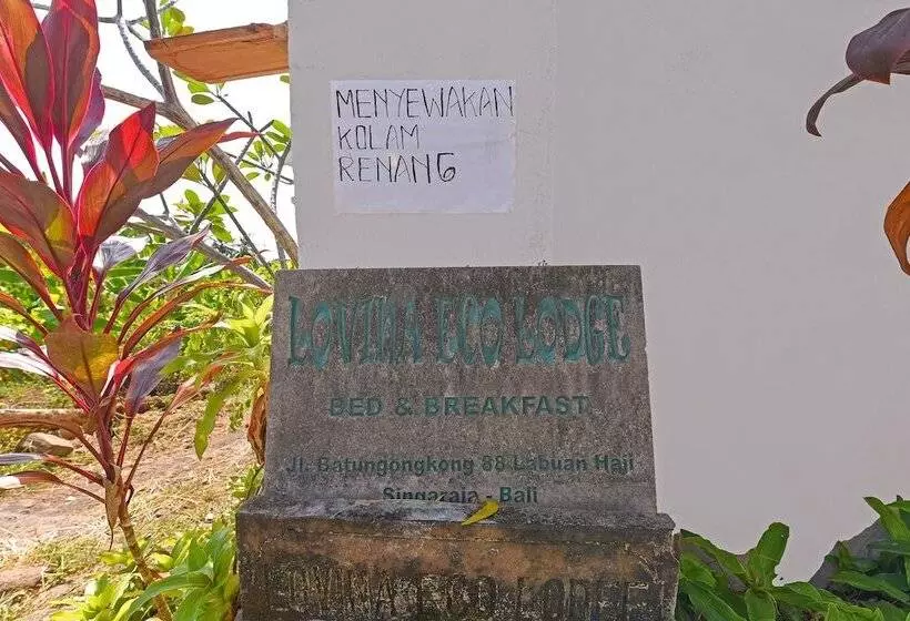 Hotelli Oyo 91191 Lovina Dolphin Lodge