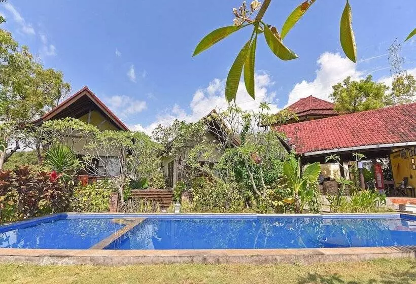 Hotelli Oyo 91191 Lovina Dolphin Lodge