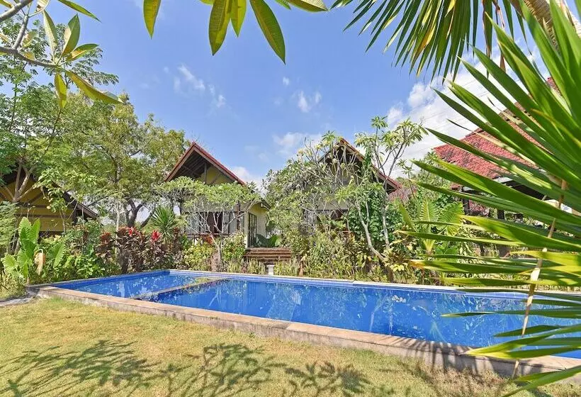 Hotelli Oyo 91191 Lovina Dolphin Lodge