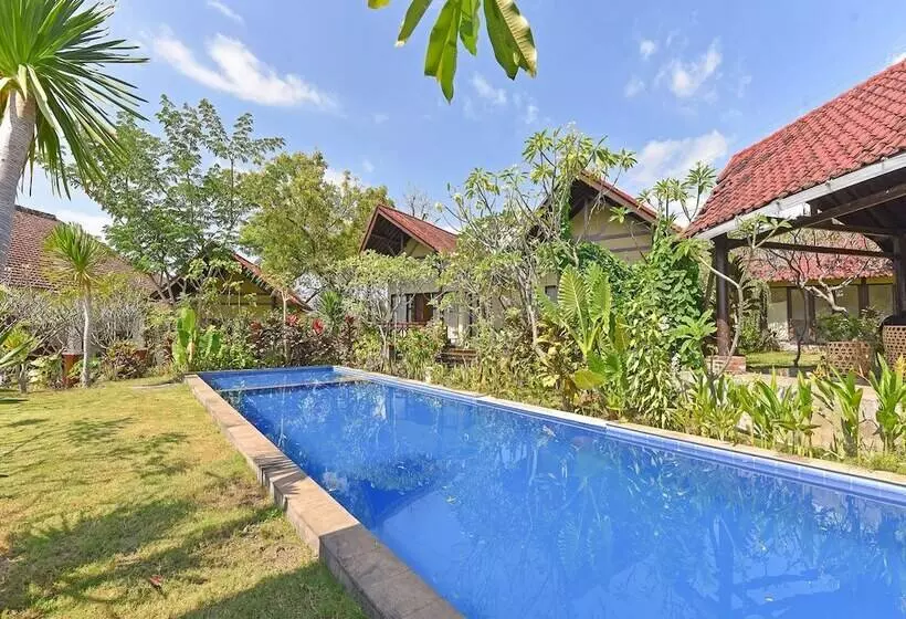 Hotelli Oyo 91191 Lovina Dolphin Lodge