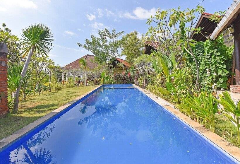 Отель Oyo 91191 Lovina Dolphin Lodge