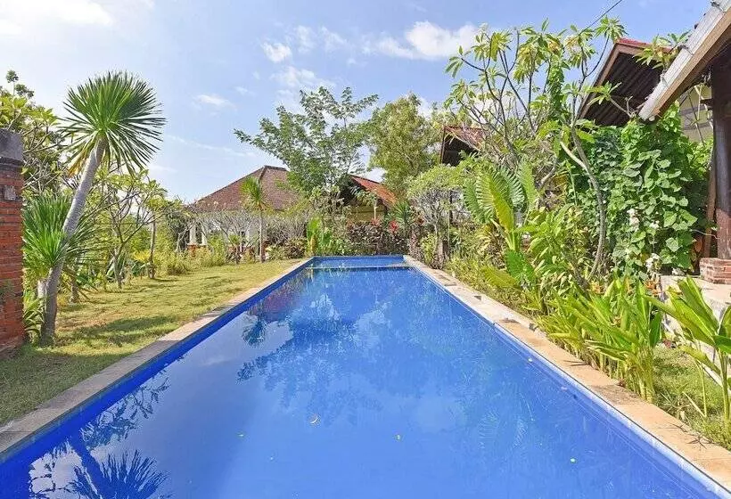 Hotelli Oyo 91191 Lovina Dolphin Lodge