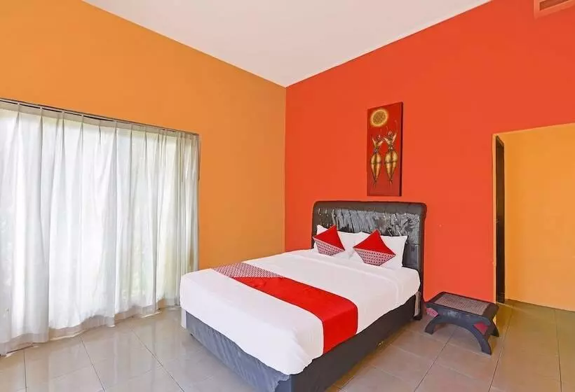 Hotelli Oyo 91191 Lovina Dolphin Lodge