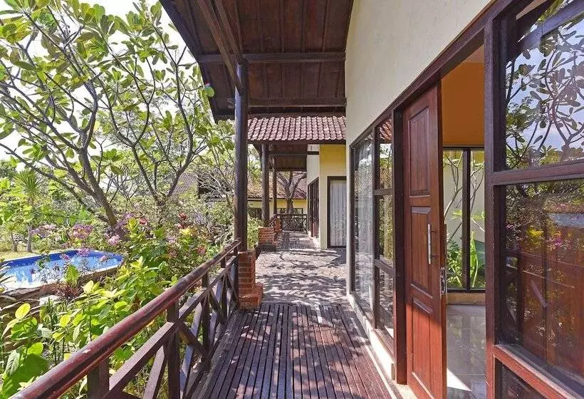 Hotelli Oyo 91191 Lovina Dolphin Lodge