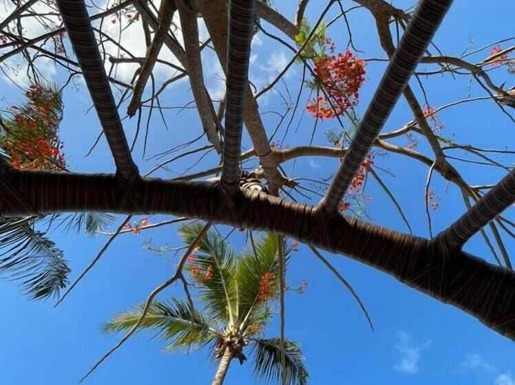 هتل Pousada Enseada Dos Mares