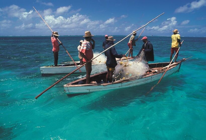 Отель Cotton Bay
