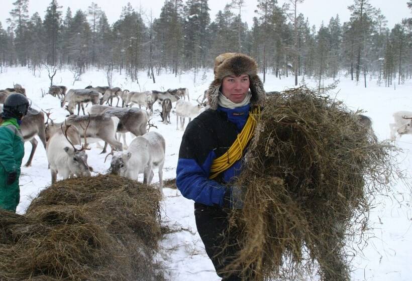 فندق Korpikartano