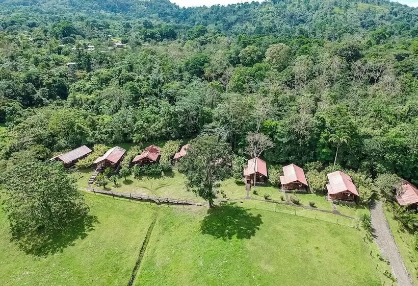 هتل La Anita Rainforest Ranch