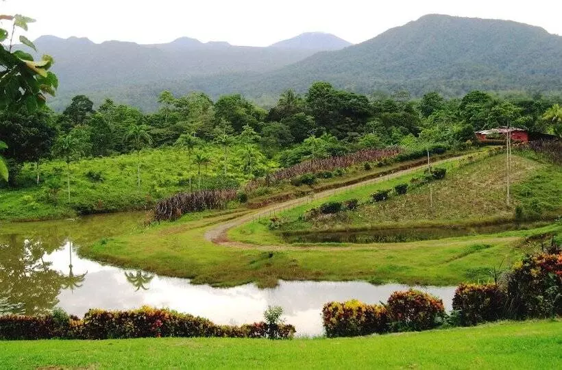 هتل La Anita Rainforest Ranch