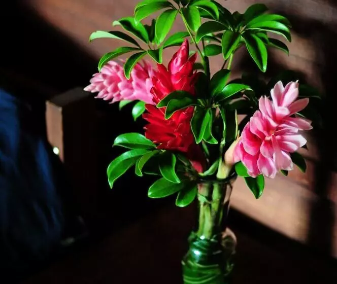 هتل La Anita Rainforest Ranch