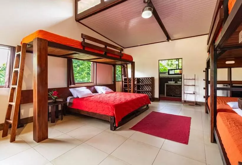 هتل La Anita Rainforest Ranch