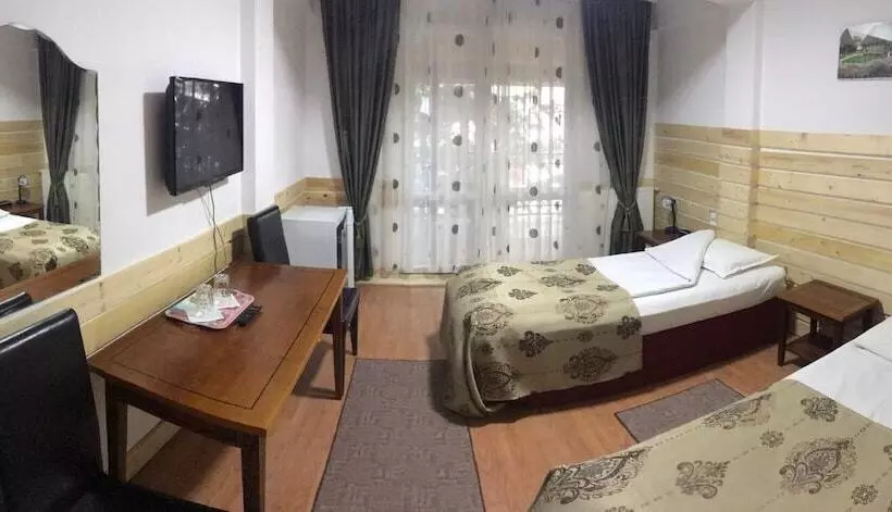 호텔 La Sura Getilor