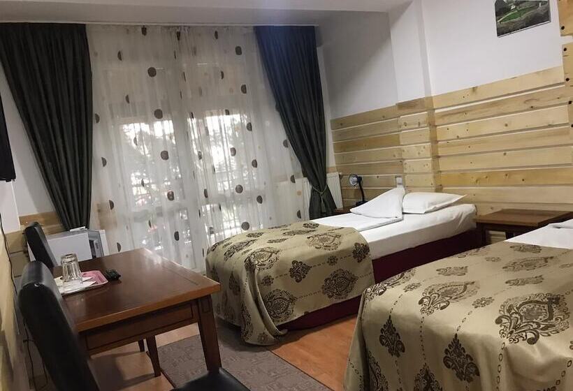 فندق La Sura Getilor