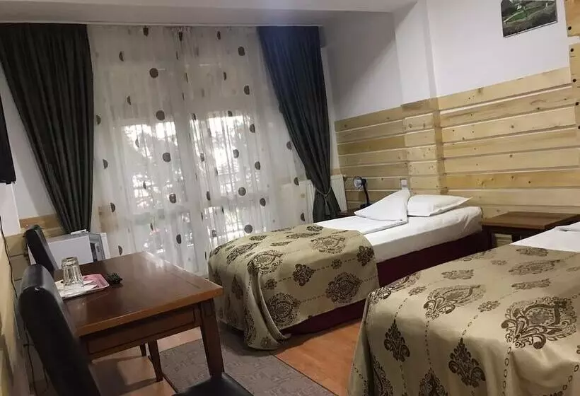 호텔 La Sura Getilor