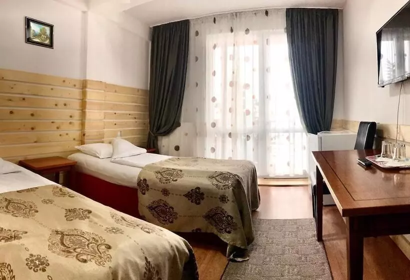 호텔 La Sura Getilor