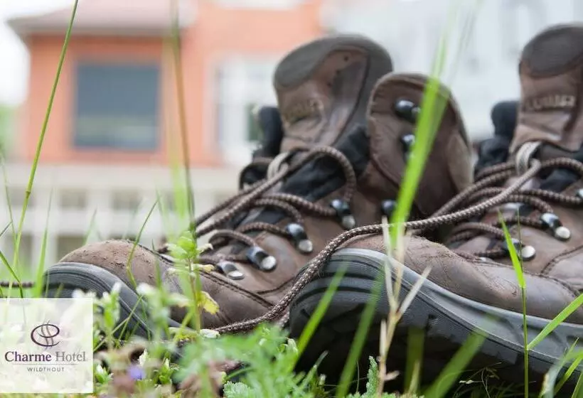 בית מלון כפרי & Restaurant Wildthout