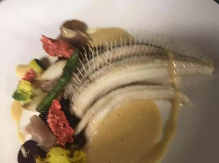 בית מלון כפרי & Restaurant Wildthout