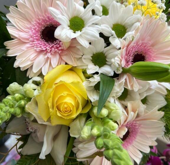 펜션 Casa Das Flores I