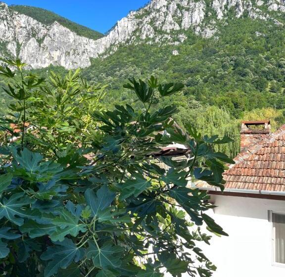 پانسیون Gasthaus Vld