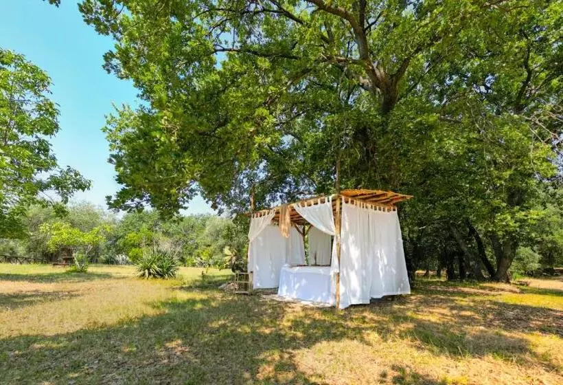ホテル Masseria Procacci