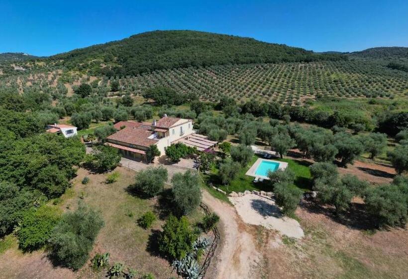 Отель Masseria Procacci