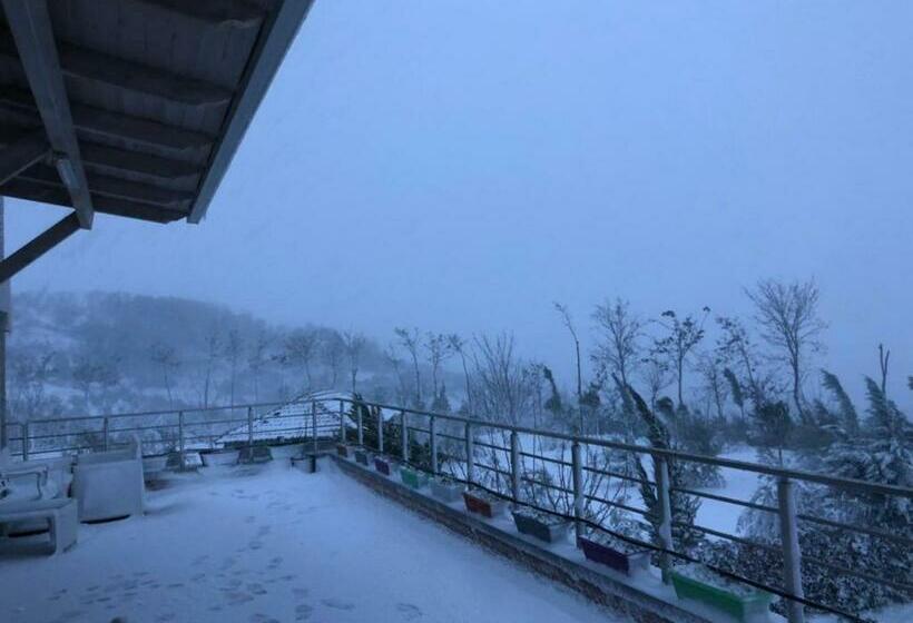 住宿加早餐  Hilltop Hideaway