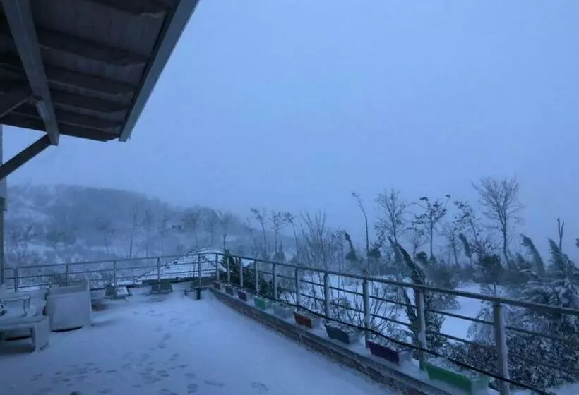 تختخواب و صبحانه Hilltop Hideaway