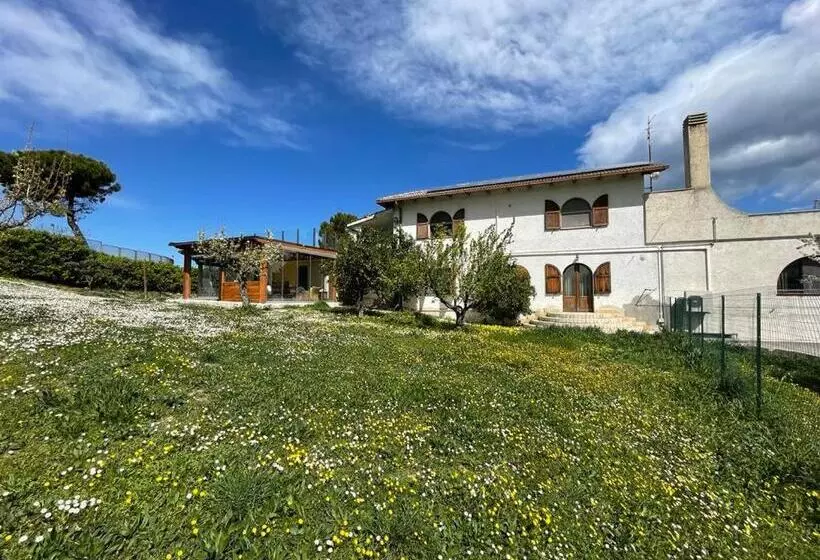 پانسیون Frapippo