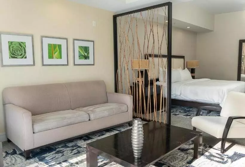 Modern Private Studio   King Bed, Jacuzzi, Balcony And Pool