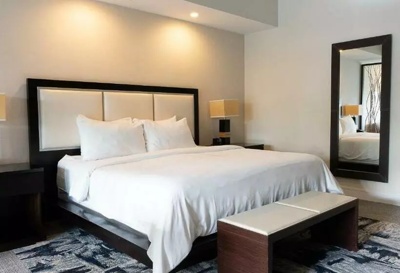 Modern Private Studio   King Bed, Jacuzzi, Balcony And Pool