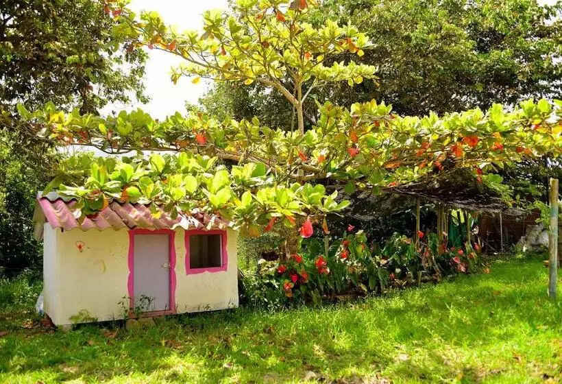 ホテル Origen Finca