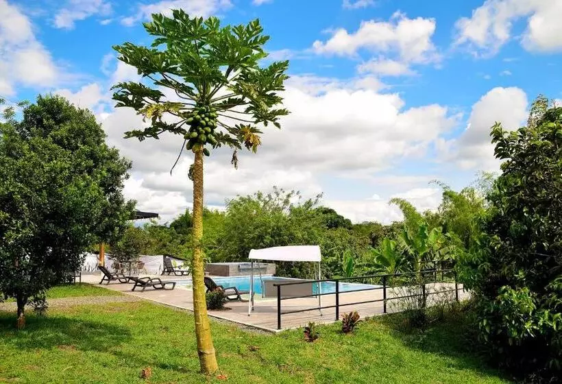 ホテル Origen Finca