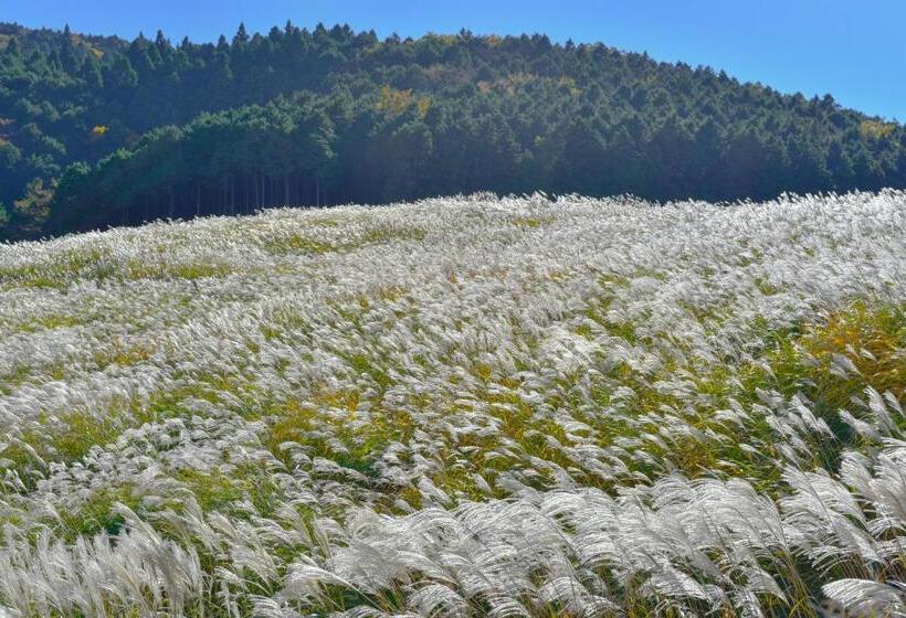 Trip7箱根仙石原温泉ホテル