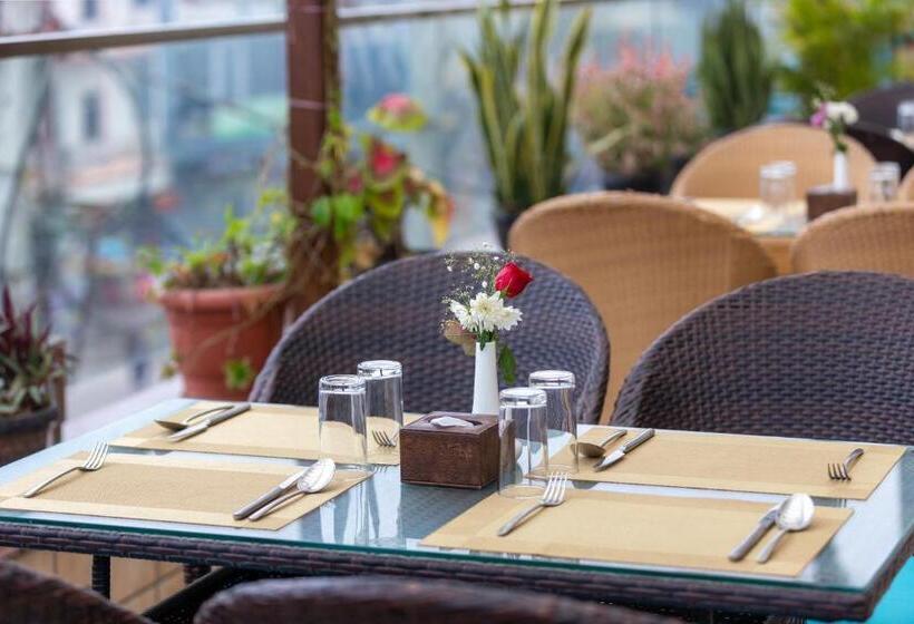 هتل Dream International