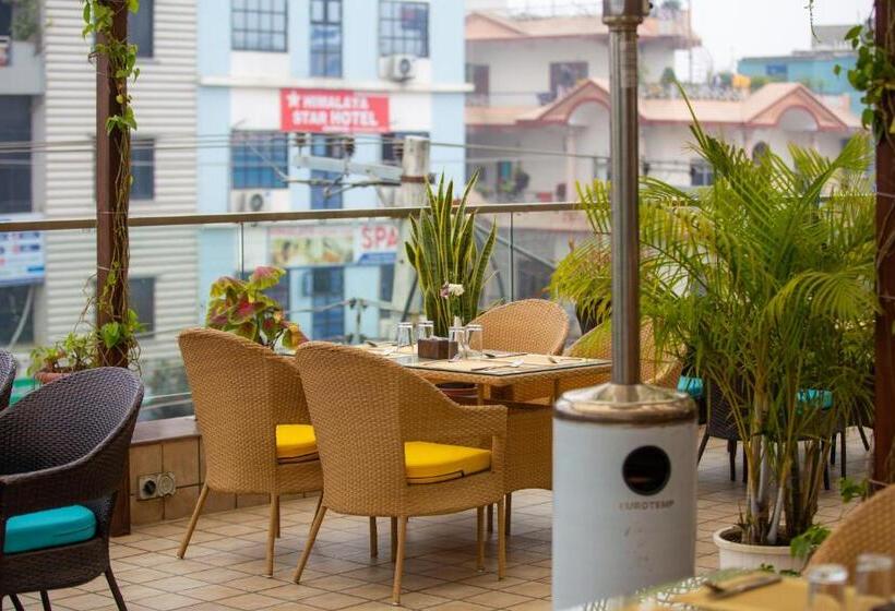 هتل Dream International