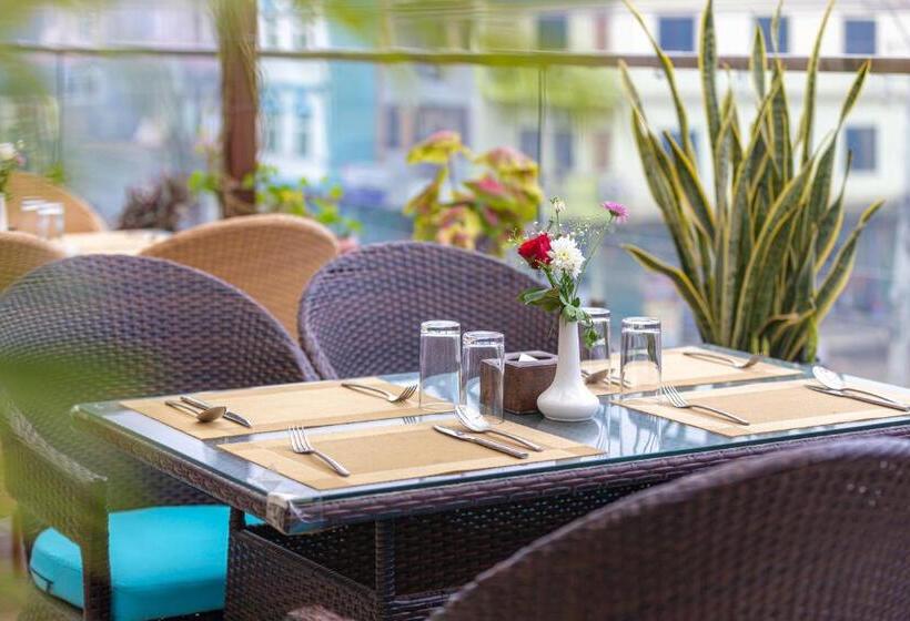 هتل Dream International