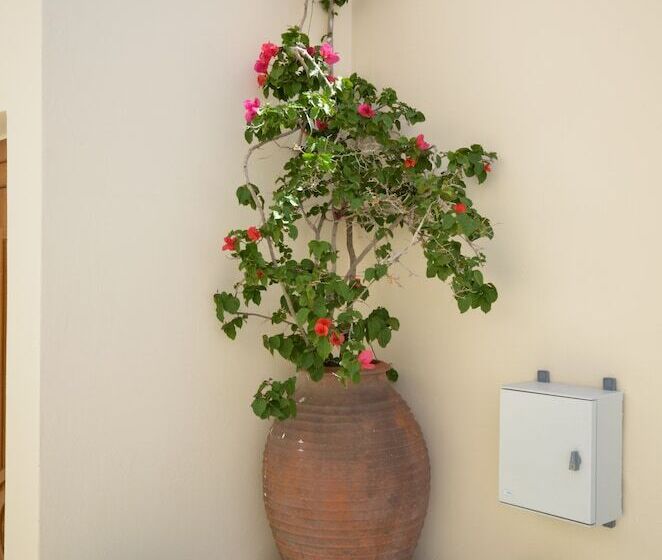 مبيت وإفطار Margo Studios