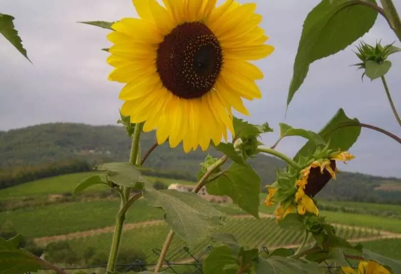 B&b Il Nido Del Merlo