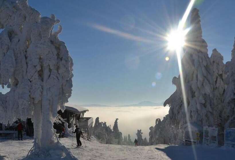 酒店 Gasthof Fellner