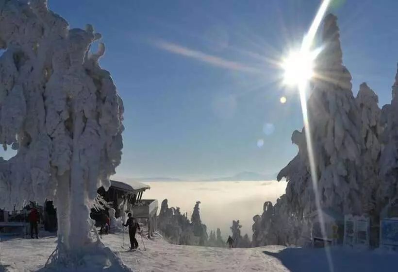 Отель Gasthof Fellner