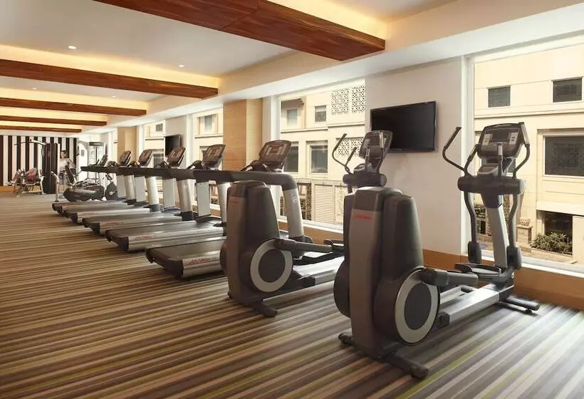 酒店 Lemon Tree Premier Delhi Airport