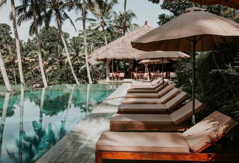 酒店 Mathis Retreat Ubud