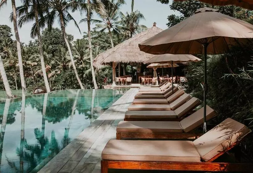 酒店 Mathis Retreat Ubud