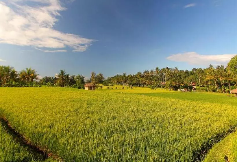 酒店 Mathis Retreat Ubud