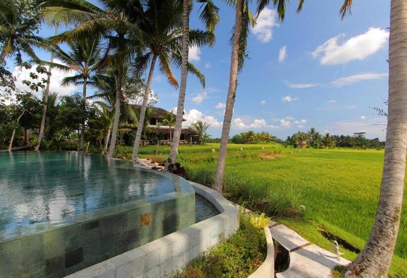 酒店 Mathis Retreat Ubud