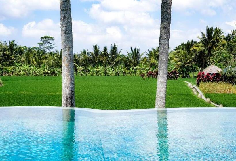 酒店 Mathis Retreat Ubud