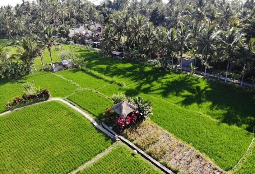 酒店 Mathis Retreat Ubud