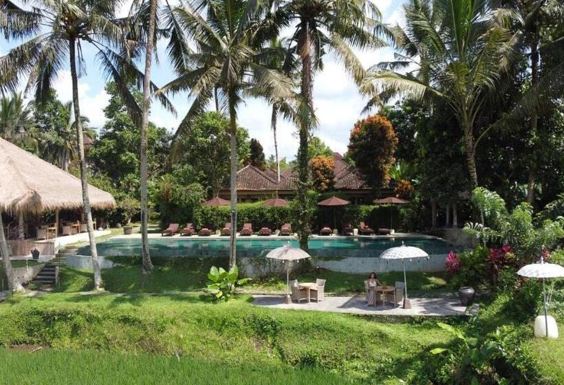 酒店 Mathis Retreat Ubud