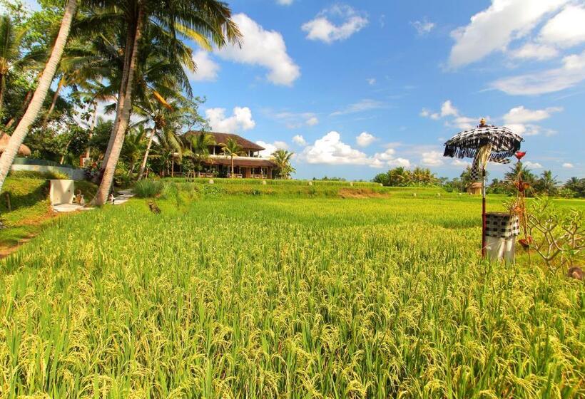酒店 Mathis Retreat Ubud